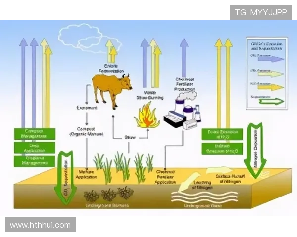 华体会的安全性与隐私保护措施深度剖析